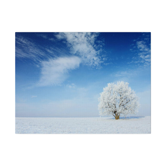 Winter Scene Canvas