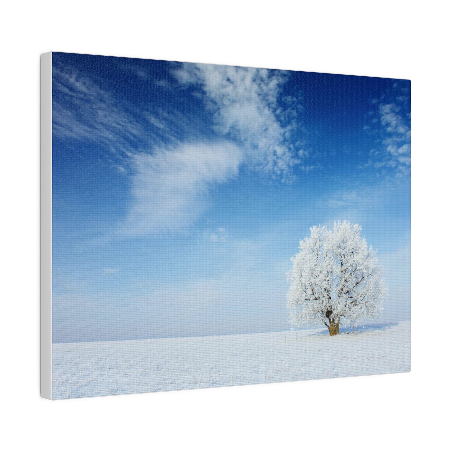 Winter Scene Canvas