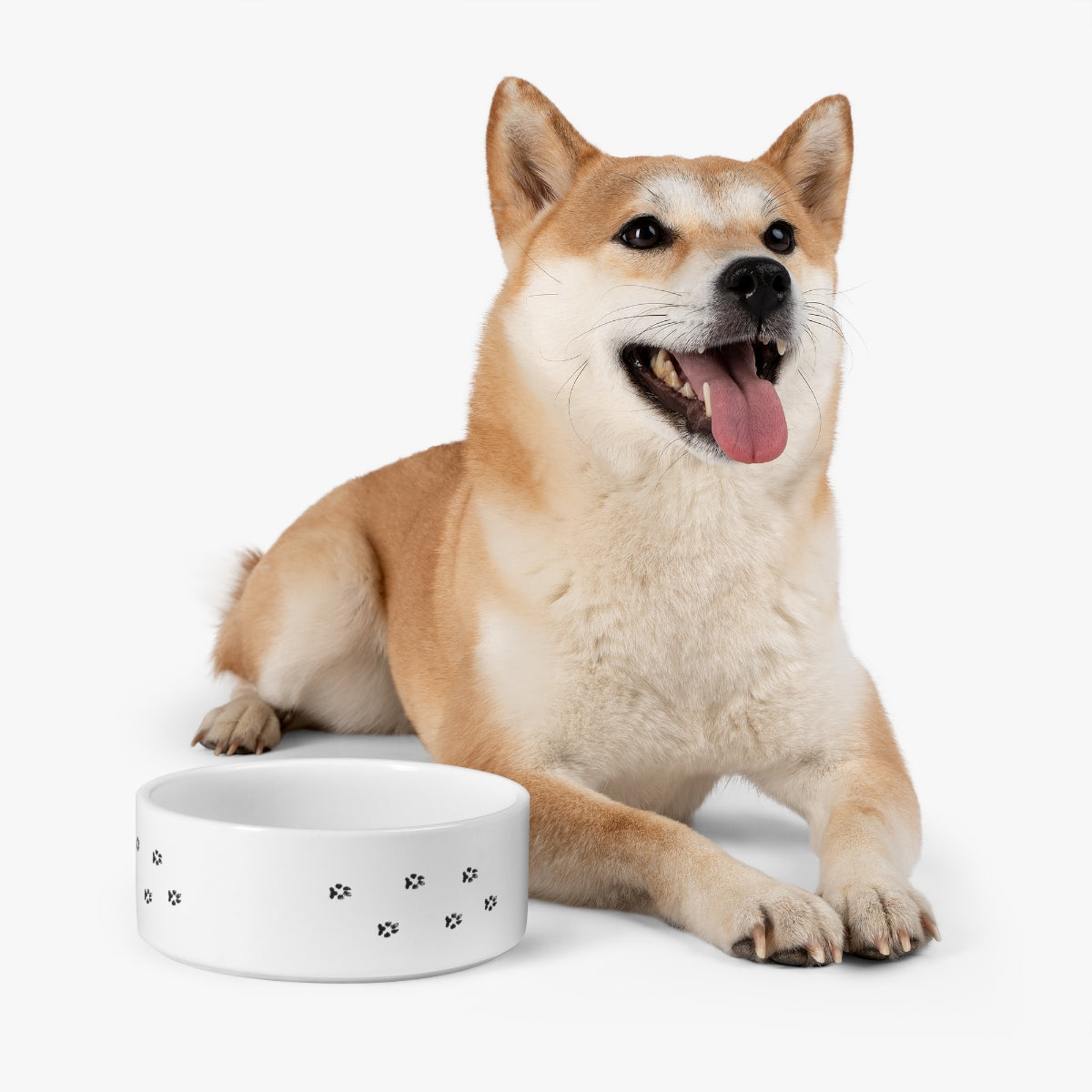 Pet Bowl